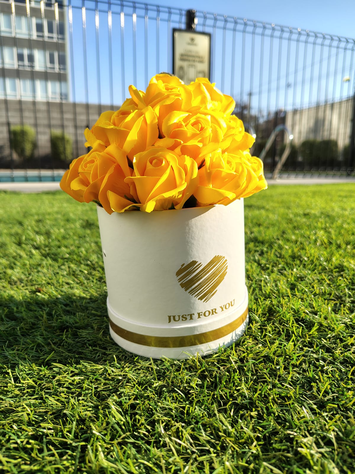 Box Love con Rosas Amarillas y Chocolate – Detalle Especial en Santiago