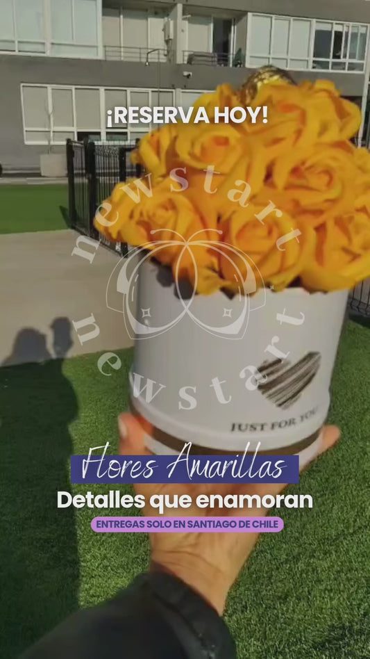 Box Love con Rosas Amarillas y Chocolate – Detalle Especial en Santiago